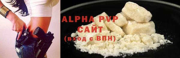 СК Алзамай