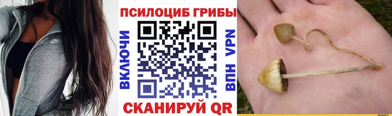 Галлюциногенные грибы GOLDEN TEACHER  Камбарка 